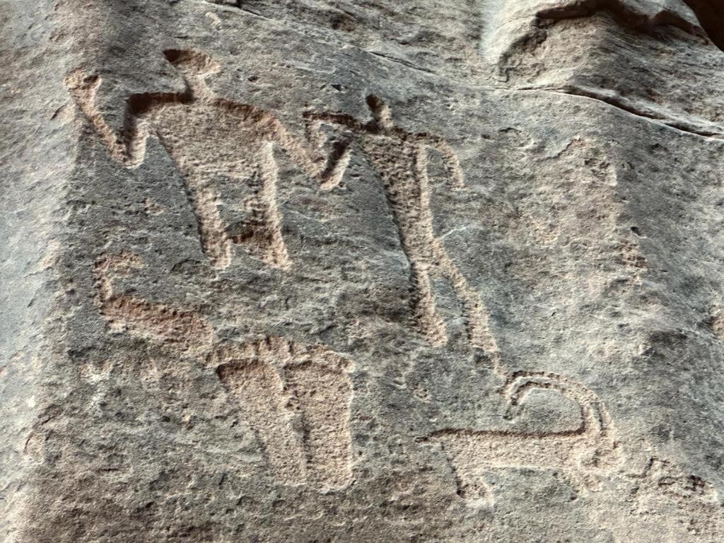 Bedouin Holidays Camp And Jeep Tours Wadi Rum Bagian luar foto