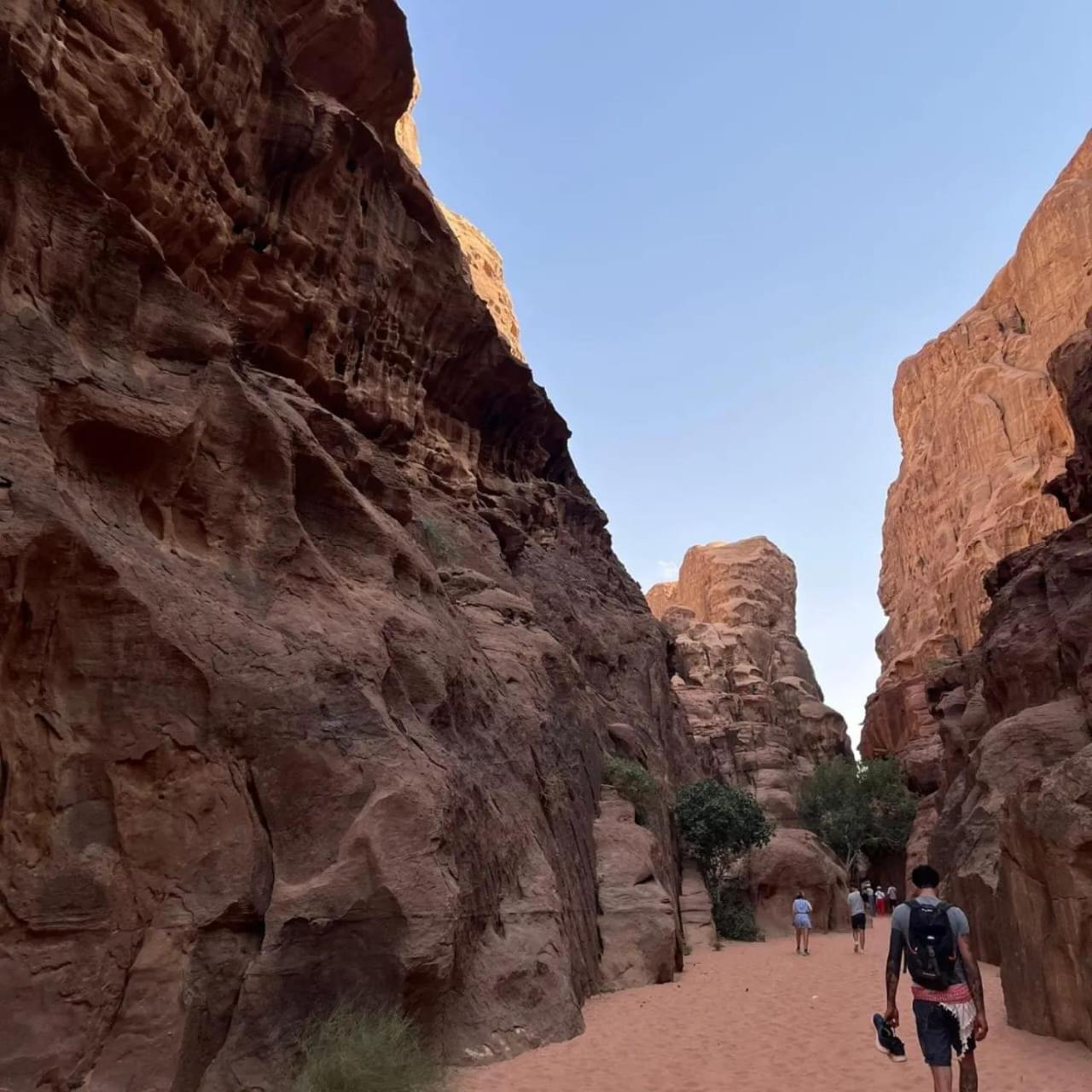 Bedouin Holidays Camp And Jeep Tours Wadi Rum Bagian luar foto